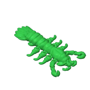 Mantis Shrimp