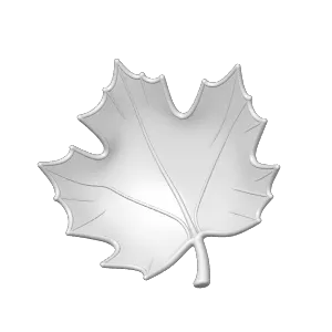 Leaf