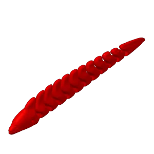 moray eel fish