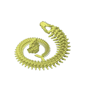 Articulated Skeletal Basilosaurus