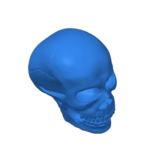 Spooky Skull Halloween decor
