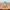 Minecraft Filmi Tavuk Jokeyi