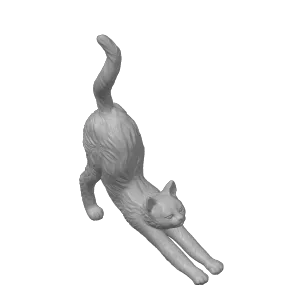 Stretching cat