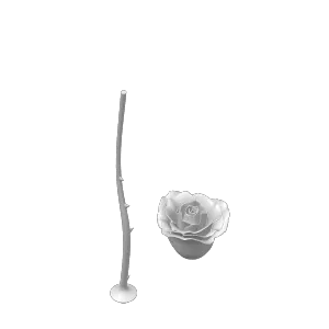 Repaired Rose