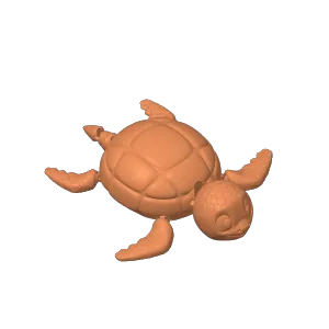 turtle