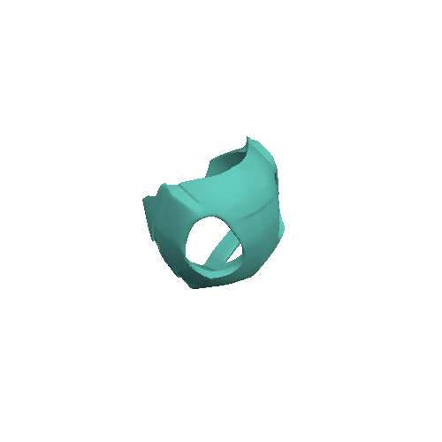 BAT CAT MASK