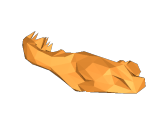 T-Rex-0