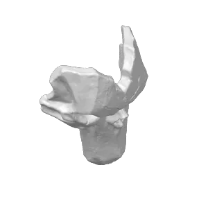 deaths mask