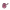 Tortura
