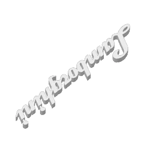 Lamborghini Logo