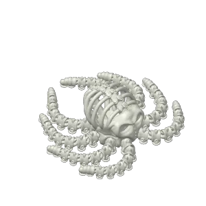 Articulated Skeleton Octopus
