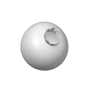 Pome fruit