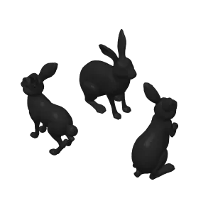 Wild hares