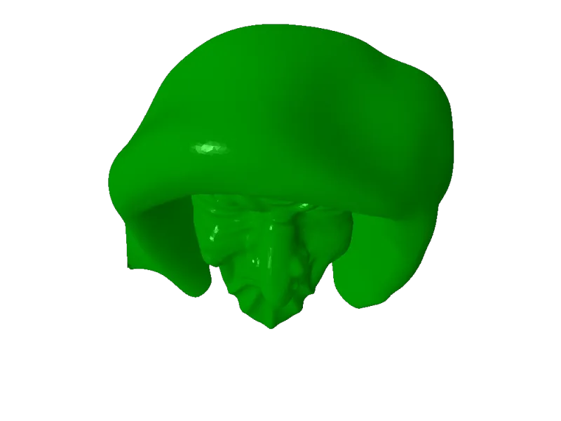 Mask hol