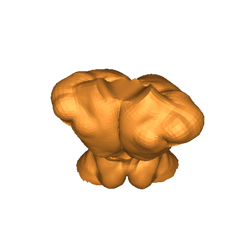 Male torso