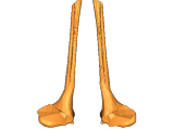 Larynx-0