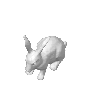 Rabbit