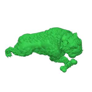 pet