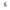 Ev