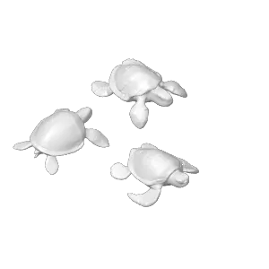Sea turtle