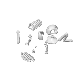 Flexible Cat Skeleton
