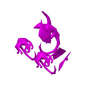 Monitor Dragon