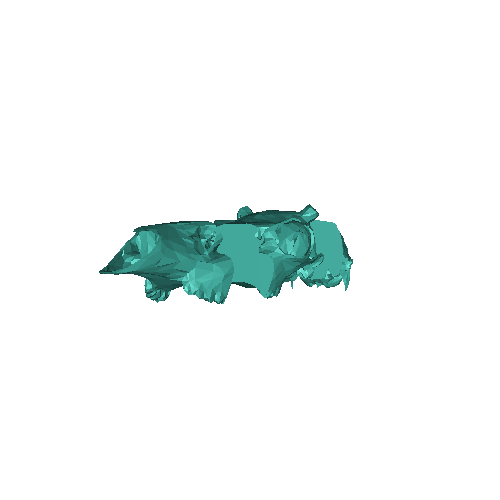 Cranio di cervo in low poly