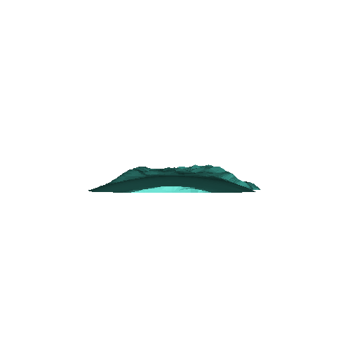 Claw