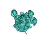 Adolescent false hydra-0