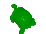 Capy and tort-2