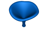 Mushroom collection-6