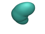 human kidney-0