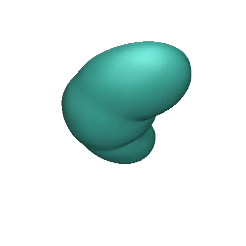 human kidney