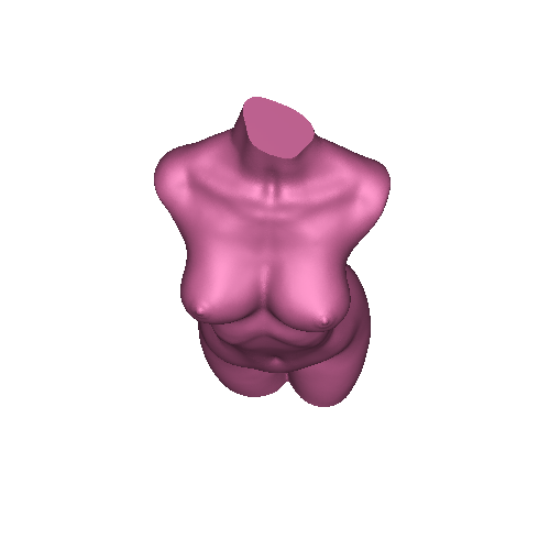 Woman torso (vase mode optimized)