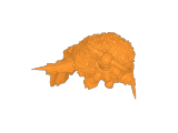 Borak miniature-0