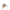 D4 grande