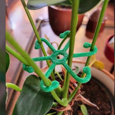 Plant clip hook support