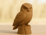 Cute Owl-0