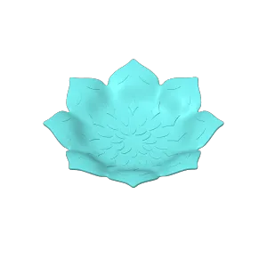 A manadala plate