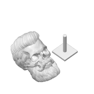 BEARD SKULL COLLECTION - Nº1
