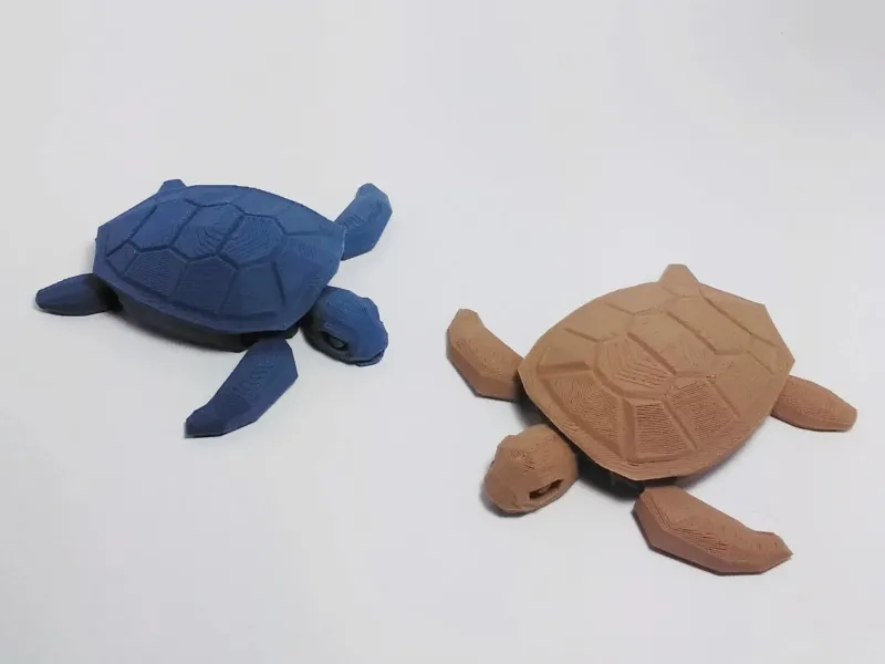 Sea turtle
