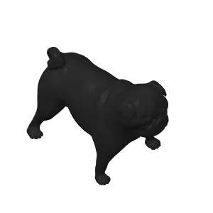 pug