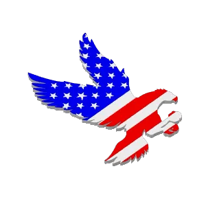 American Flag Eagle Magnet
