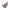 Bo