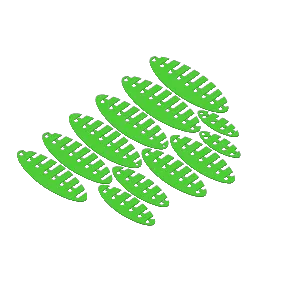Morf Worm