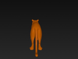Tiger-3