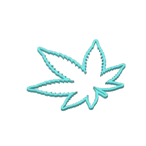 Leaf Outline
