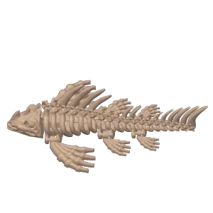 pez skeleton