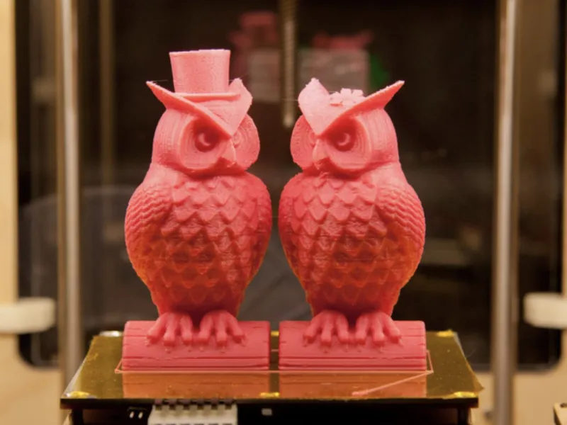 Owl Couple