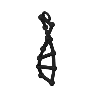 DNA keyring